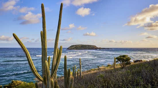 Rosewood Le Guanahani | St Barth