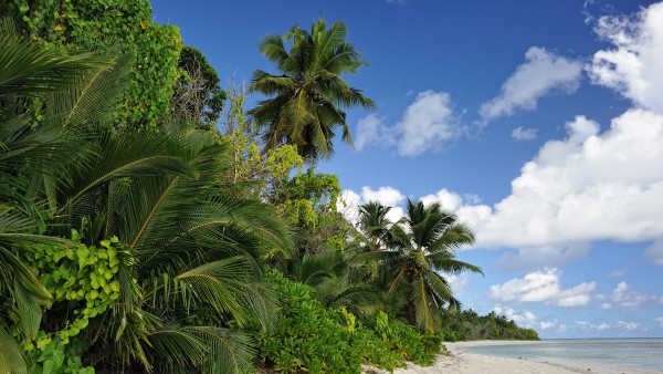 hand-picked-holidays-with-the-travel-division-waldorf-saychelles-1